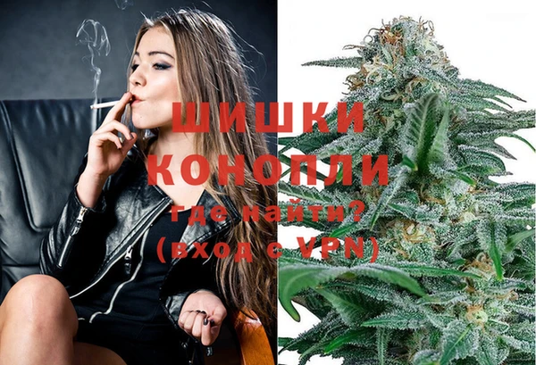 сатива Аркадак
