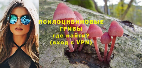 хмурый Балахна