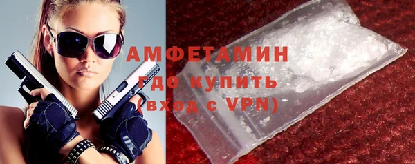 сатива Аркадак